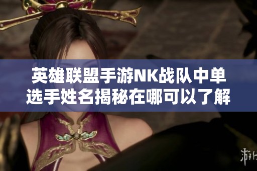英雄联盟手游NK战队中单选手姓名揭秘在哪可以了解