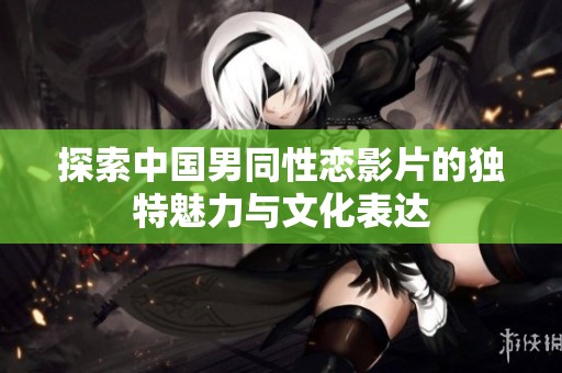 探索中国男同性恋影片的独特魅力与文化表达