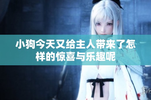 小狗今天又给主人带来了怎样的惊喜与乐趣呢