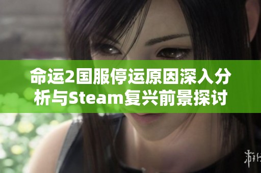 命运2国服停运原因深入分析与Steam复兴前景探讨