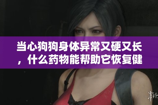 当心狗狗身体异常又硬又长，什么药物能帮助它恢复健康