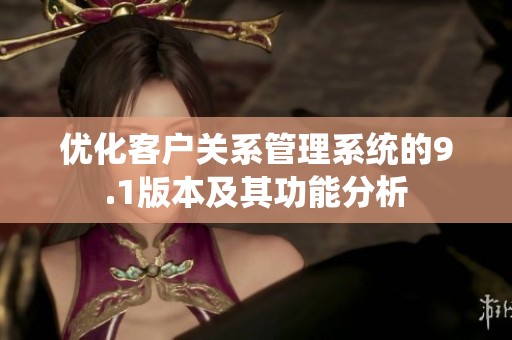 优化客户关系管理系统的9.1版本及其功能分析