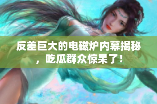 反差巨大的电磁炉内幕揭秘，吃瓜群众惊呆了！