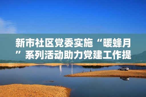 新市社区党委实施“暖蜂月”系列活动助力党建工作提升