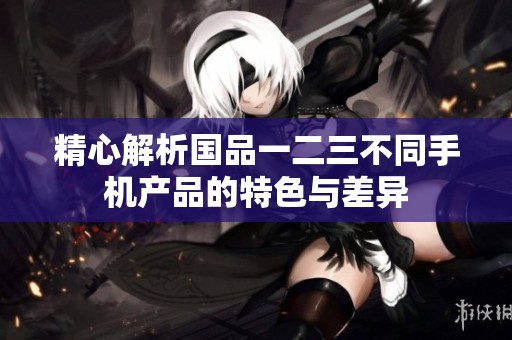 精心解析国品一二三不同手机产品的特色与差异