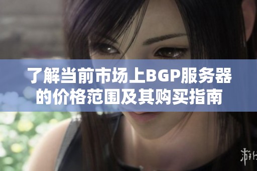 了解当前市场上BGP服务器的价格范围及其购买指南