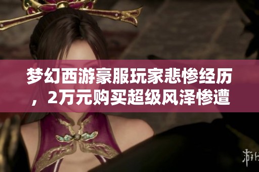 梦幻西游豪服玩家悲惨经历，2万元购买超级风泽惨遭亏损