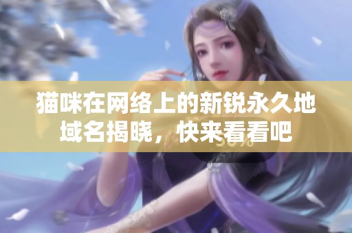 猫咪在网络上的新锐永久地域名揭晓，快来看看吧