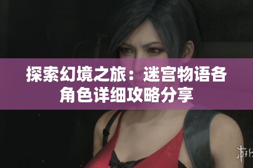 探索幻境之旅：迷宫物语各角色详细攻略分享