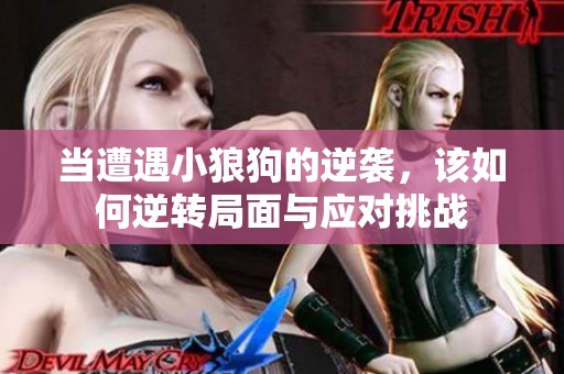 当遭遇小狼狗的逆袭，该如何逆转局面与应对挑战