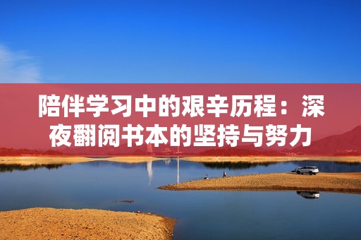 陪伴学习中的艰辛历程：深夜翻阅书本的坚持与努力