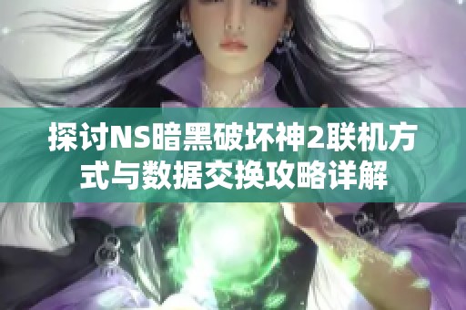 探讨NS暗黑破坏神2联机方式与数据交换攻略详解