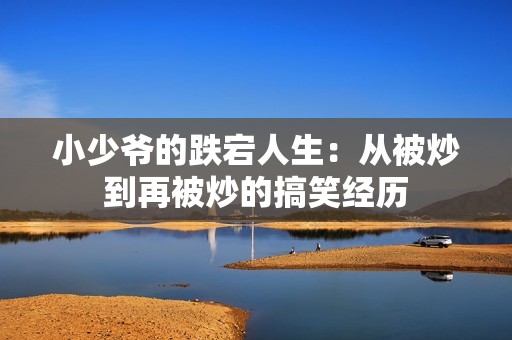 小少爷的跌宕人生：从被炒到再被炒的搞笑经历