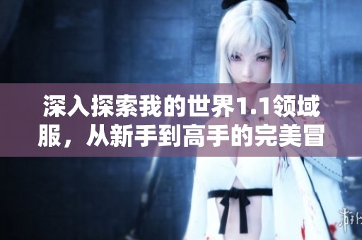 深入探索我的世界1.1领域服，从新手到高手的完美冒险指南
