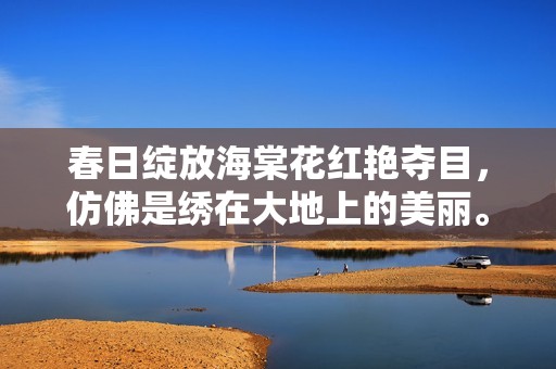 春日绽放海棠花红艳夺目，仿佛是绣在大地上的美丽。