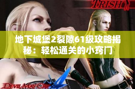 地下城堡2裂隙61级攻略揭秘：轻松通关的小窍门
