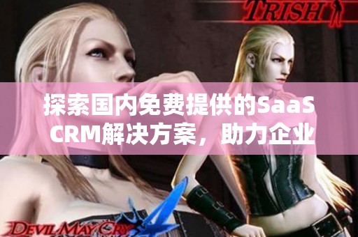 探索国内免费提供的SaaS CRM解决方案，助力企业管理与发展