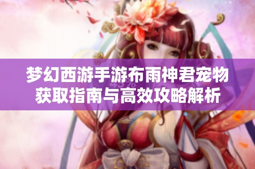 梦幻西游手游布雨神君宠物获取指南与高效攻略解析