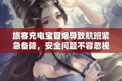 旅客充电宝冒烟导致航班紧急备降，安全问题不容忽视