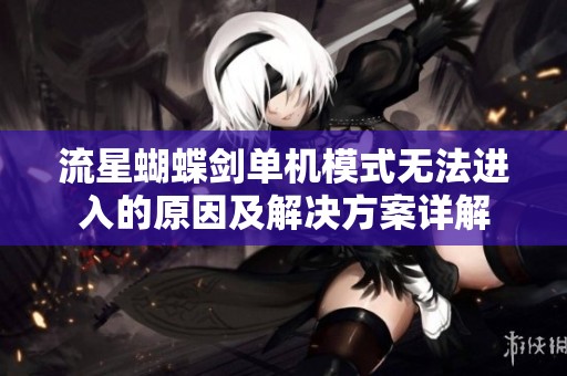 流星蝴蝶剑单机模式无法进入的原因及解决方案详解