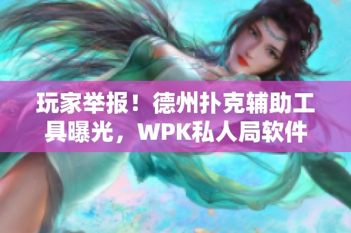 玩家举报！德州扑克辅助工具曝光，WPK私人局软件内幕分析