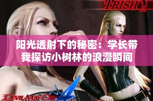 阳光透射下的秘密：学长带我探访小树林的浪漫瞬间