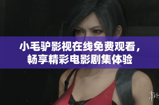 小毛驴影视在线免费观看，畅享精彩电影剧集体验