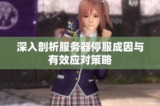 深入剖析服务器停服成因与有效应对策略