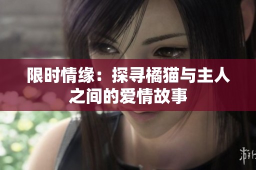 限时情缘：探寻橘猫与主人之间的爱情故事