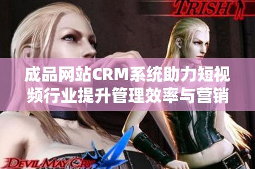 成品网站CRM系统助力短视频行业提升管理效率与营销效果