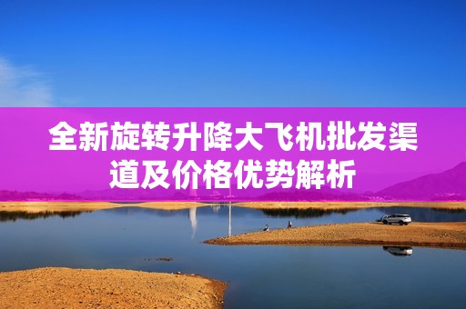 全新旋转升降大飞机批发渠道及价格优势解析
