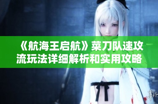 《航海王启航》菜刀队速攻流玩法详细解析和实用攻略