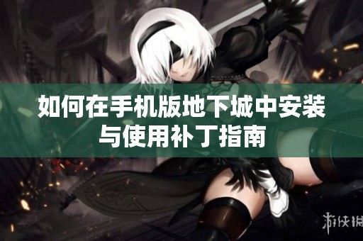 如何在手机版地下城中安装与使用补丁指南