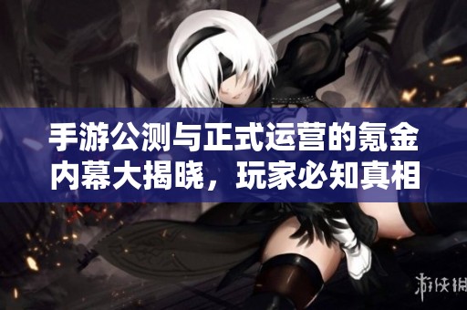 手游公测与正式运营的氪金内幕大揭晓，玩家必知真相与区别