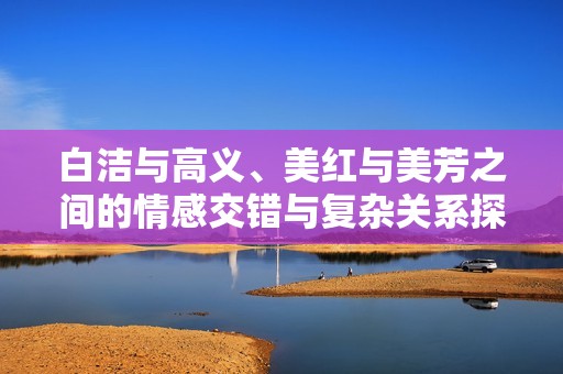 白洁与高义、美红与美芳之间的情感交错与复杂关系探讨
