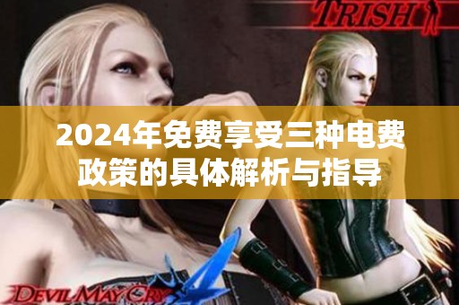 2024年免费享受三种电费政策的具体解析与指导