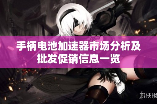 手柄电池加速器市场分析及批发促销信息一览