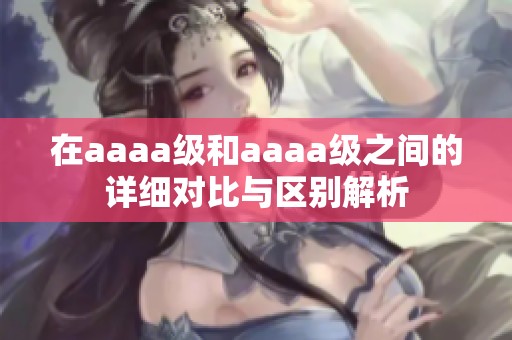 在aaaa级和aaaa级之间的详细对比与区别解析