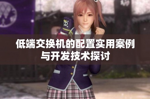 低端交换机的配置实用案例与开发技术探讨