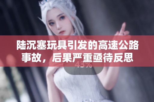 陆沉塞玩具引发的高速公路事故，后果严重亟待反思