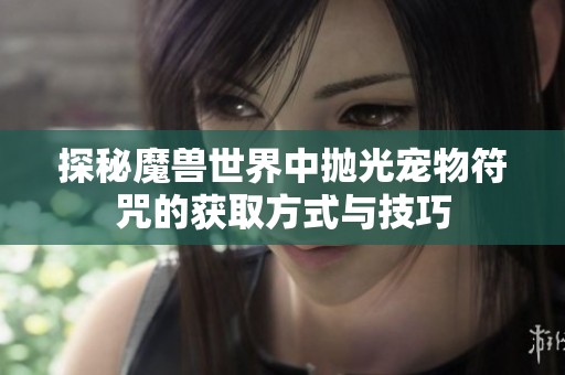 探秘魔兽世界中抛光宠物符咒的获取方式与技巧