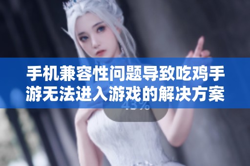 手机兼容性问题导致吃鸡手游无法进入游戏的解决方案探讨