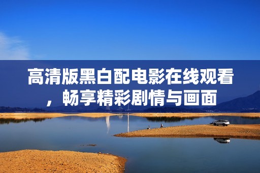 高清版黑白配电影在线观看，畅享精彩剧情与画面