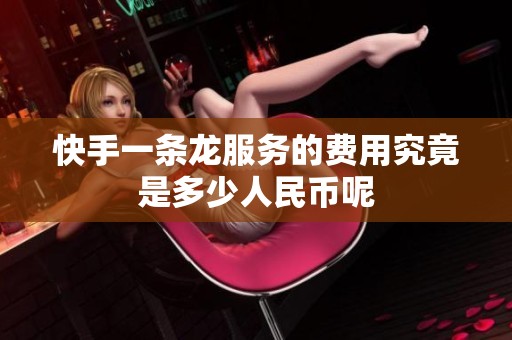 快手一条龙服务的费用究竟是多少人民币呢