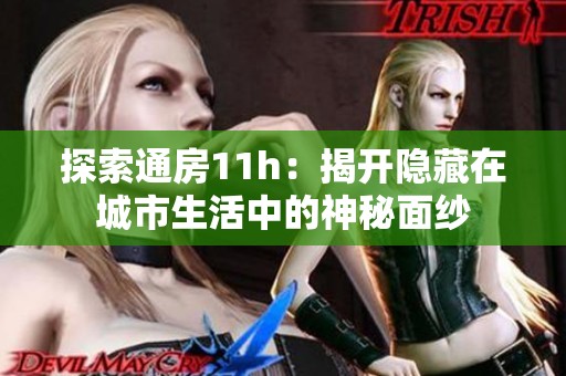 探索通房11h：揭开隐藏在城市生活中的神秘面纱
