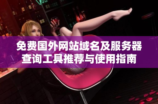 免费国外网站域名及服务器查询工具推荐与使用指南
