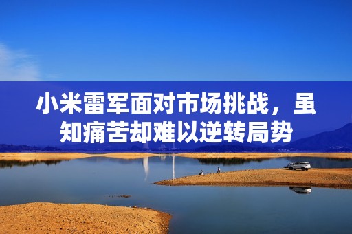 小米雷军面对市场挑战，虽知痛苦却难以逆转局势