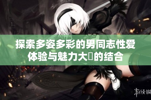 探索多姿多彩的男同志性爱体验与魅力大屌的结合