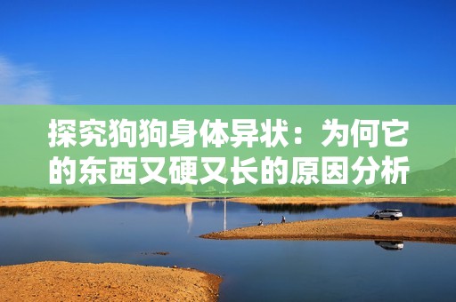 探究狗狗身体异状：为何它的东西又硬又长的原因分析