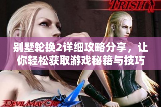 别墅轮换2详细攻略分享，让你轻松获取游戏秘籍与技巧
